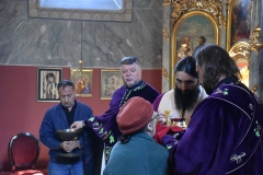 Владика Арсеније у Топчидерском храму