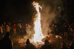 110417471_badnjevecepaljenjebadnjaka_photovladimirzivojinovic007