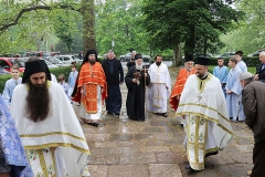 Цвети
