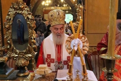 Цвети