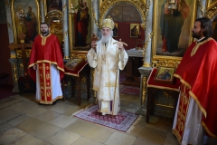 Посета Патријарха