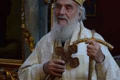 Посета Патријарха