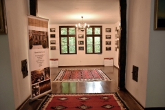 VDS_0035 - Copy